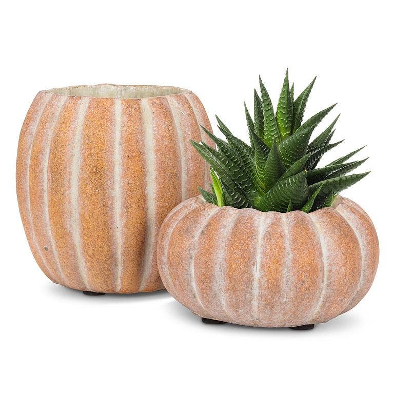 Cement Pumpkin Planter: Large Tall (9.5"H)
