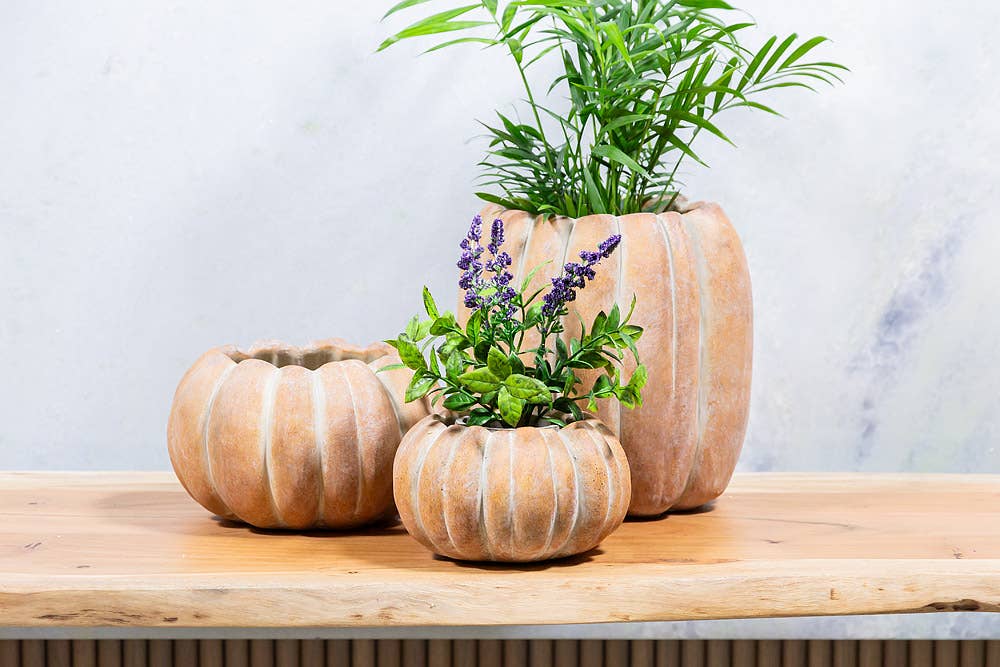 Cement Pumpkin Planter: Large Low (6.5"W)