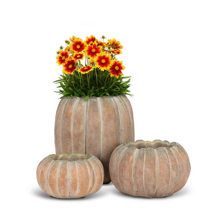 Cement Pumpkin Planter: Large Tall (9.5"H)