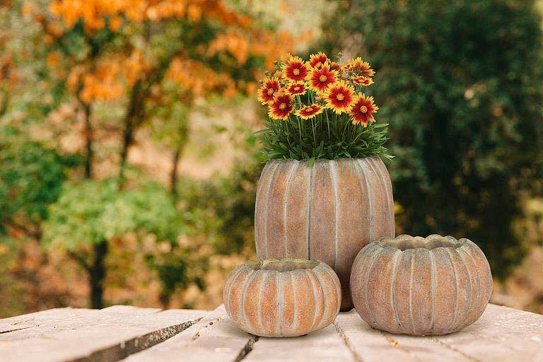 Cement Pumpkin Planter: Large Tall (9.5"H)